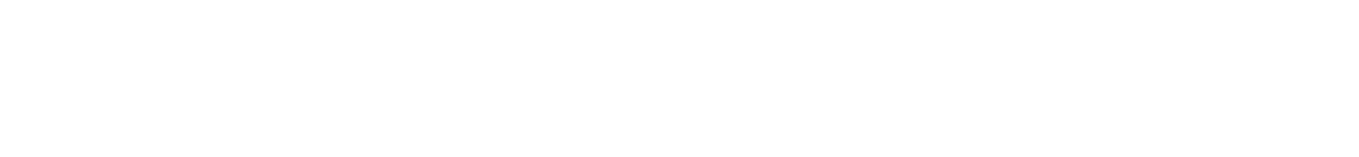 VPS Global Concierge